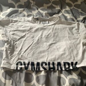 Gymshark Fraction Crop top